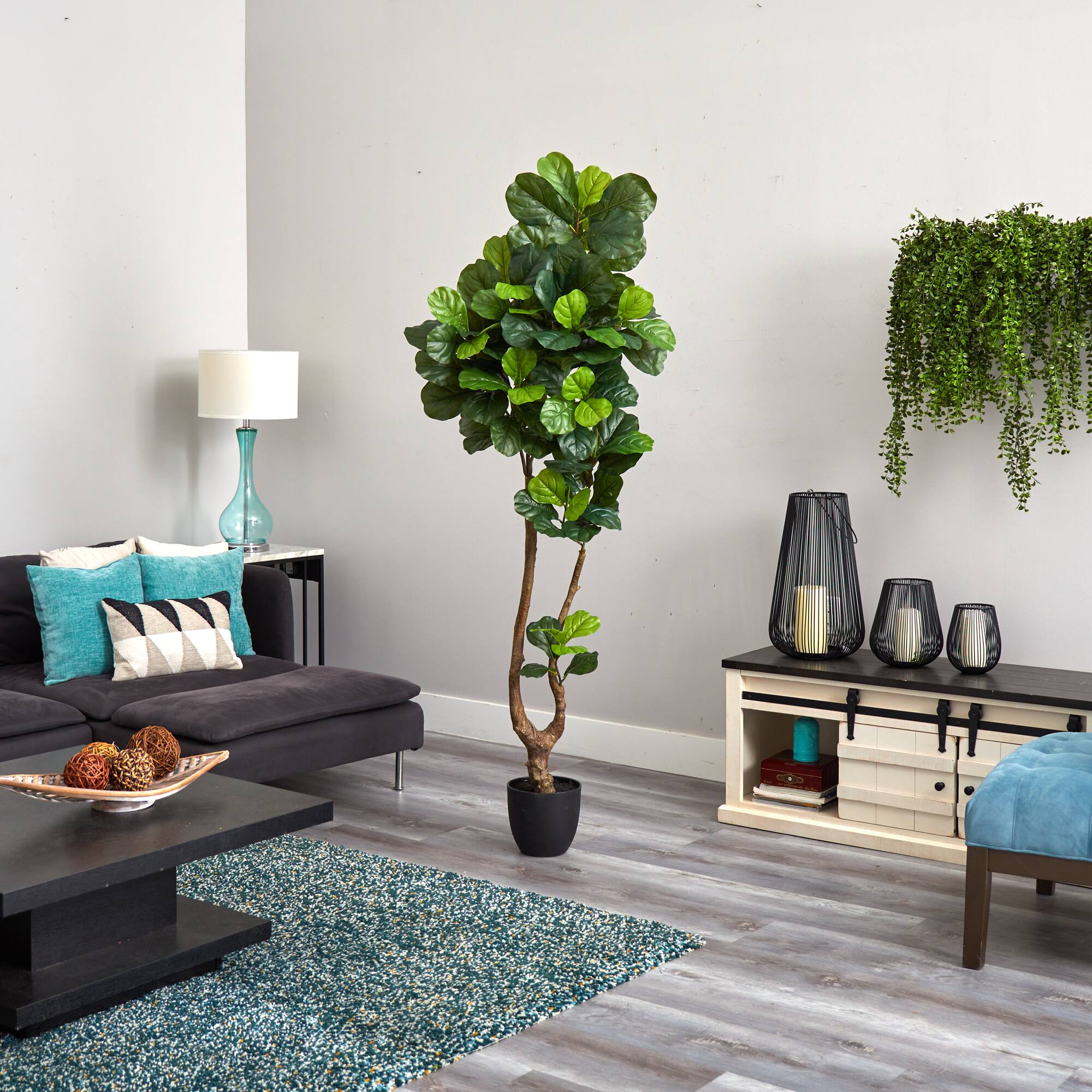 6.5ft. Potted Fiddle Leaf Tree